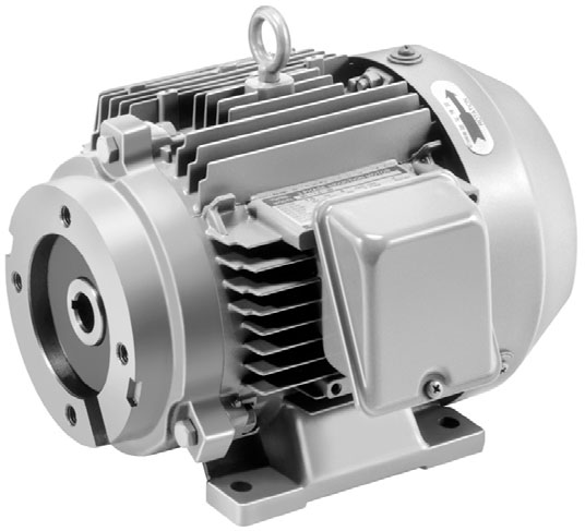 M Series Electric Motor - Fluid Power